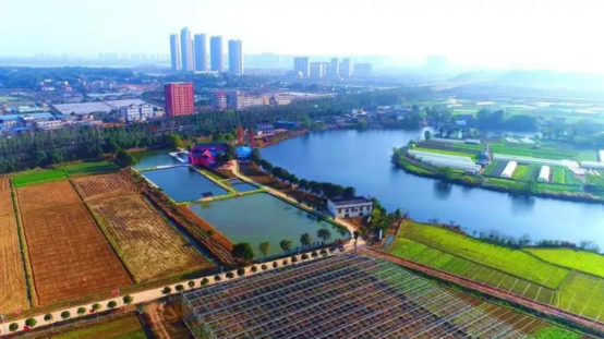 湖南垃圾桶 湖南垃圾桶